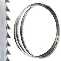 Rouleau de 50 M Lame de Scie à Ruban Bois 20 x 0,6 x Z6 mm - Denté, Avoyé, Affûté - Acier C75 - Diamwood