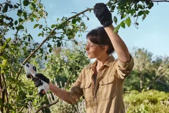 Sécateur sans fil sur batterie 10,8V 25mm ASA20 Stihl (vendu avec batterie)