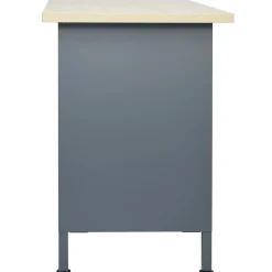Établi Noir 120x60x85 cm Acier vidaXL