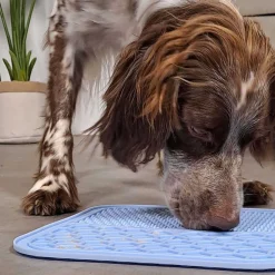 Tapis à lécher pour chien en silicone 20x20 cm