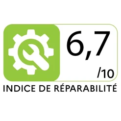 Tondeuse electrique 1800W Moteur induction Coupe 42 cm - 3 hauteurs de coupe - bac 50L VITO