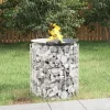 VidaXL - Foyer en gabion - Fer galvanise - 50 cm - Design circulaire