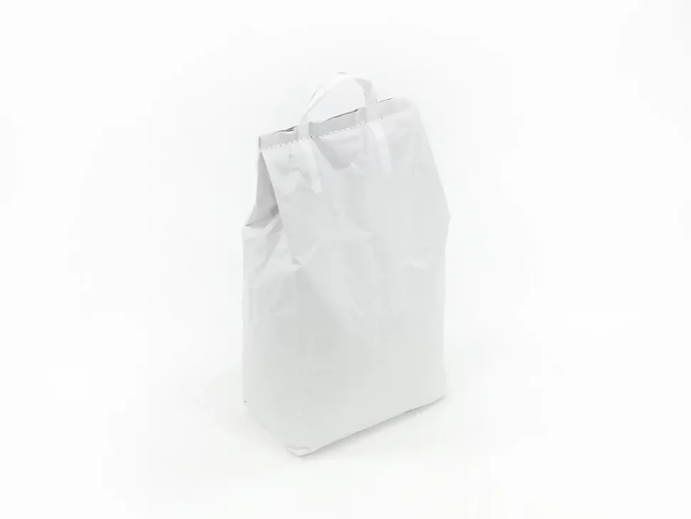 Zéolite pour filtre à sable 10 kg - AquaZendo